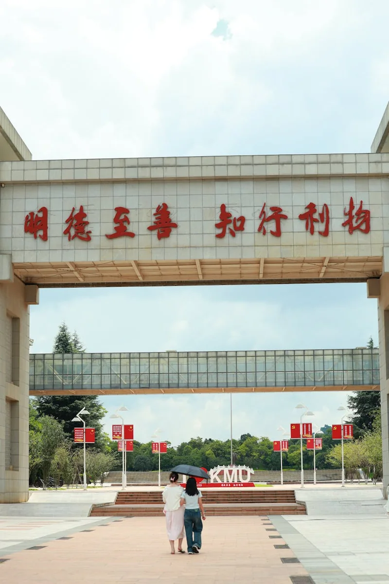 突发事件应对场景中的信息脉络整理示意